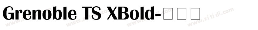 Grenoble TS XBold字体转换